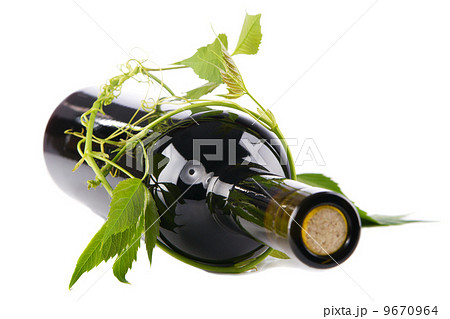Bottle of wine in green leaves 9670964