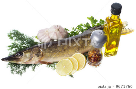 Raw pike with cooking ingredients Raw pike with cooking ingredients 9671760