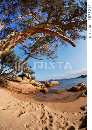Costa Smeralda with amazing beach in Capriccioli, Sardinia 9673014