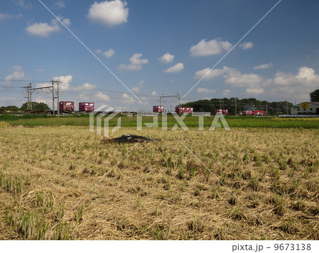 埼玉県蓮田市の田園風景 埼玉県蓮田市の田園風景 9673138
