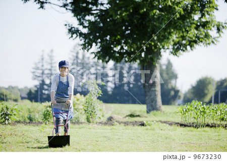 ガーデン　菜園 9673230