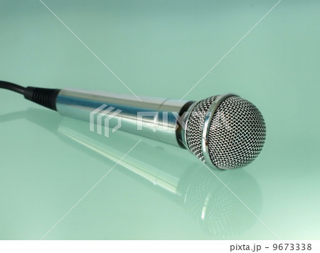 Silver metallic microphone. 9673338