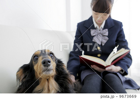 犬のいる生活 犬のいる生活 9673669