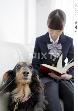犬のいる生活 9673670