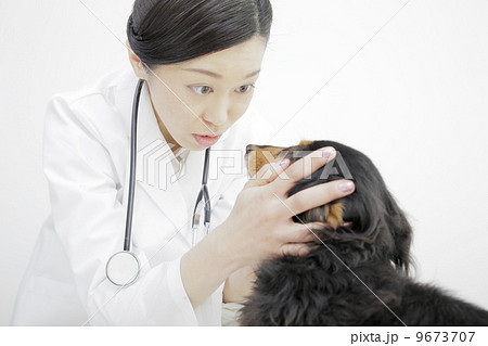 獣医 獣医 9673707