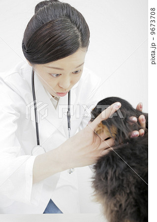 獣医 獣医 9673708