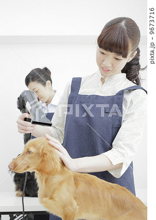 ペットサロン ペットサロン 9673716