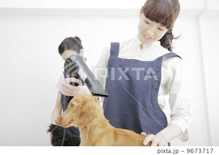 ペットサロン ペットサロン 9673717