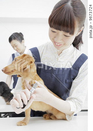 ペットサロン 9673724