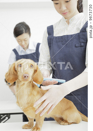 ペットサロン 9673730