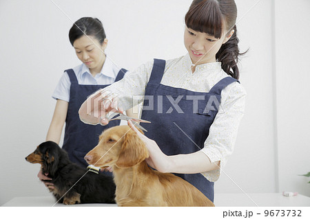 ペットサロン ペットサロン 9673732