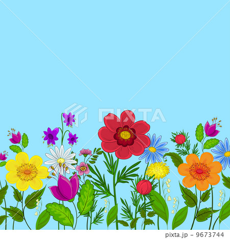 flowers and sky flowers and sky 9673744