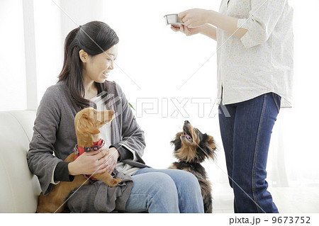 犬のいる生活 9673752