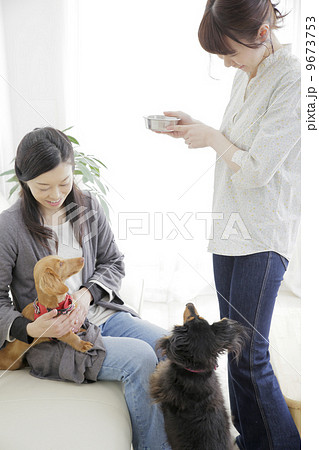 犬のいる生活 9673753