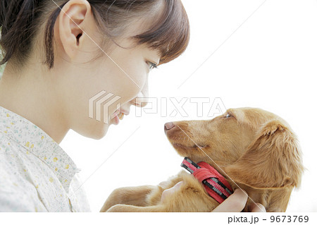 犬のいる生活 9673769