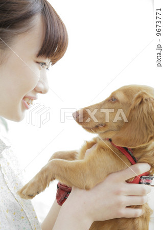 犬のいる生活 9673771