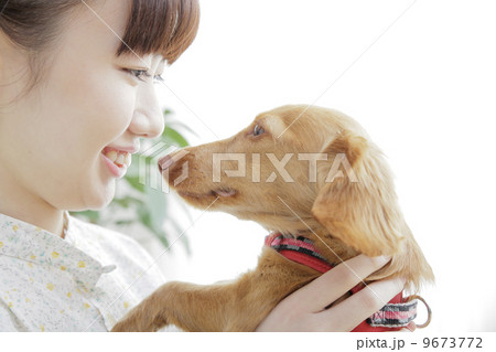 犬のいる生活 9673772