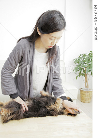犬にやってはいけないこと 9673784