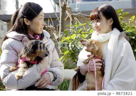 犬のいる生活 9673821