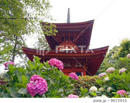 久米寺・多宝塔 久米寺・多宝塔 9673910