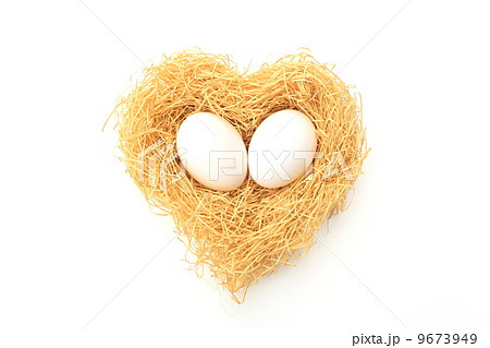 楽しい我が家 9673949