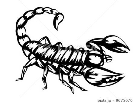 scorpion scorpion 9675070