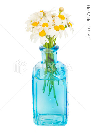 daisy flowers posy in blue glass daisy flowers posy in blue glass 9675293