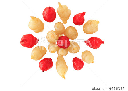 ちょろぎ 9676335