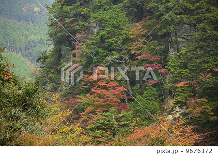 安居渓谷の紅葉 9676372