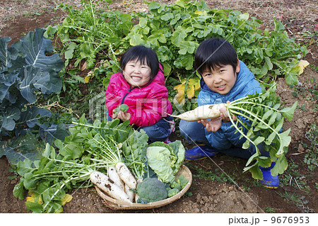 収穫のお手伝い 9676953