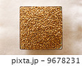 麦 9678231