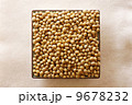大豆 9678232