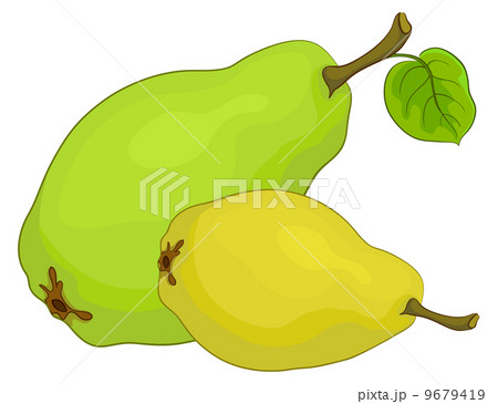 Fruit, pears Fruit, pears 9679419