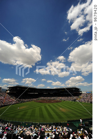 野球観戦-8 9679420
