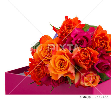 pile  of orange and pink  roses 9679422