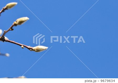 寒さの中に 寒さの中に 9679634