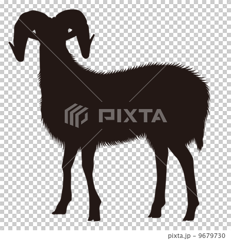 Not Silhouette _ 03 (Vector) 9679730