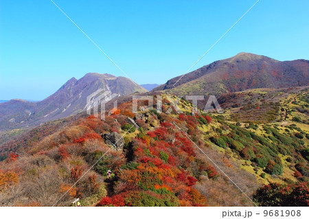 くじゅう　秋の沓掛山の風景 9681908