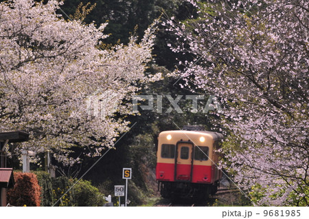 桜と小湊鉄道 桜と小湊鉄道 9681985