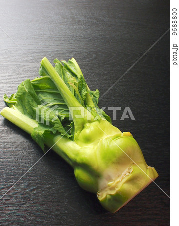 生ザーサイ 9683800