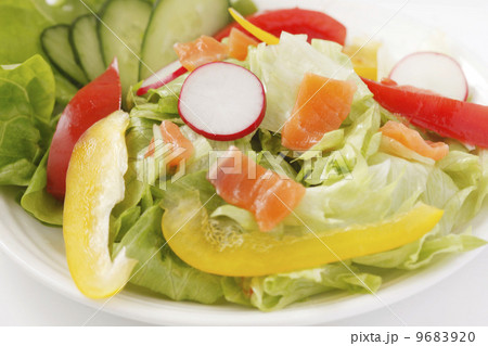サラダ 9683920