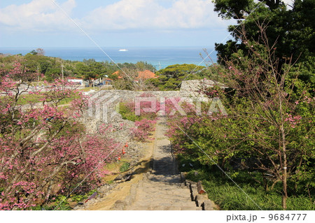 今帰仁城跡 9684777