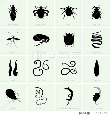 Human parasites 9684966