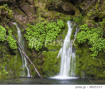 五色が原 9685357