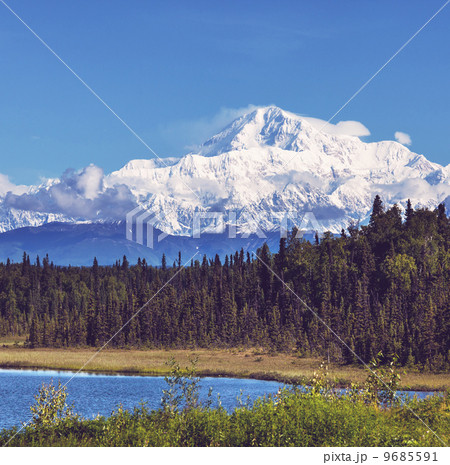 McKinley 9685591