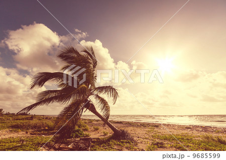 Tropical beach Tropical beach 9685599