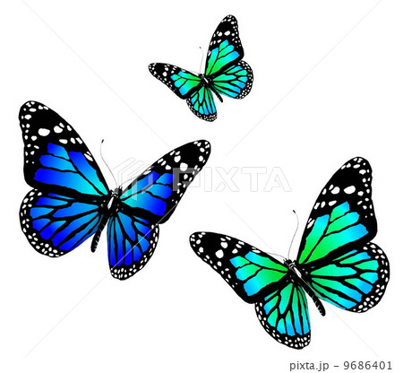 Three butterflies of blue color on a white background 9686401