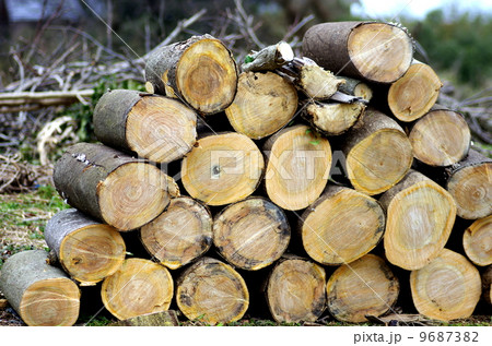 薪づくり 9687382