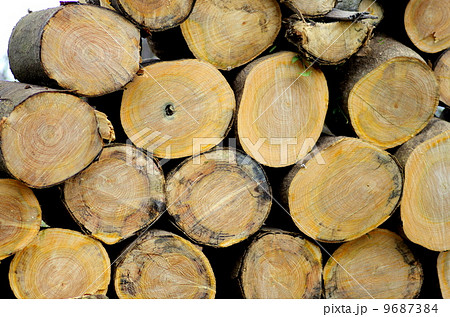 薪づくり 薪づくり 9687384