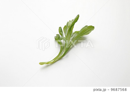 ごぎょう 9687568